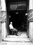 CUSTODIA VIA DEE DO VECE (Luigi Sacchetto)